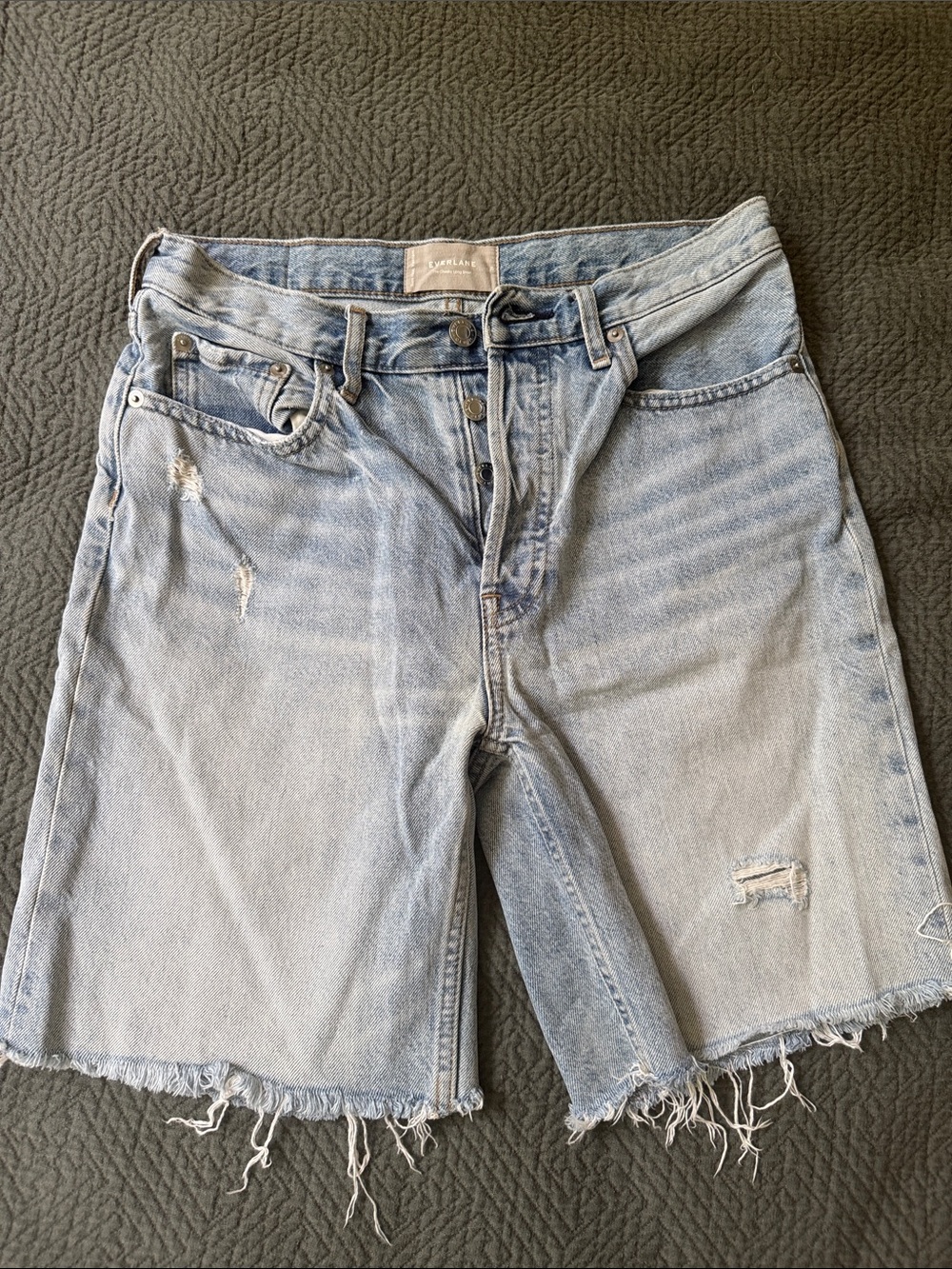Everlane Cheeky Long Short